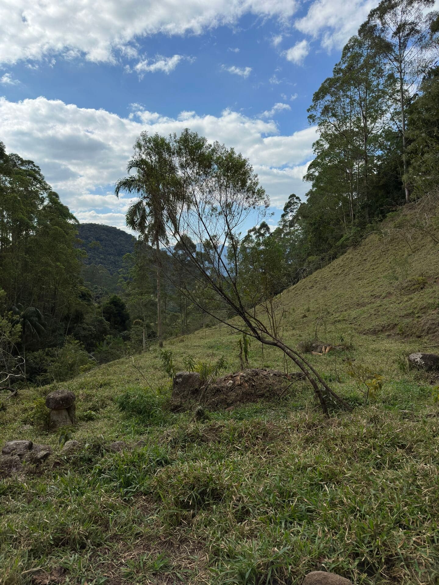 Fazenda/Sítios/Chácaras em Nova Friburgo - Lumiar