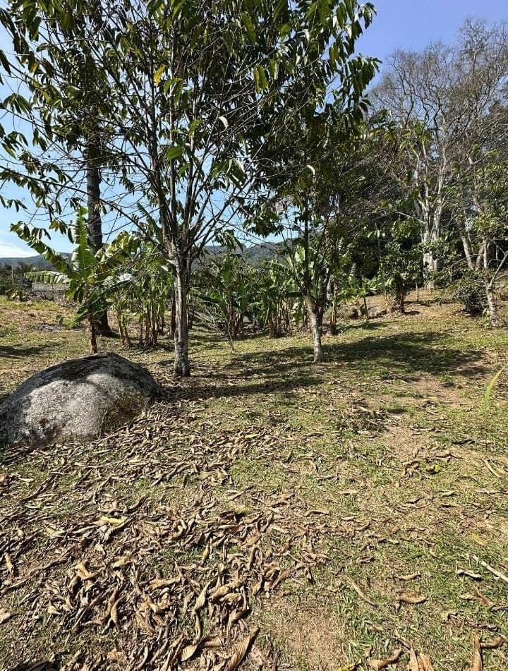 Lotes de Aproximadamente 600 m² à Venda em Lumiar
