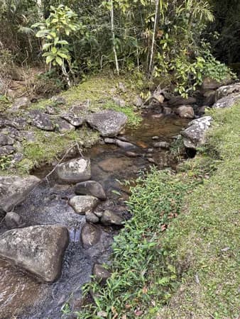 Sítio de 36,3 Hectares com Três Nascentes em Casimiro de Abreu