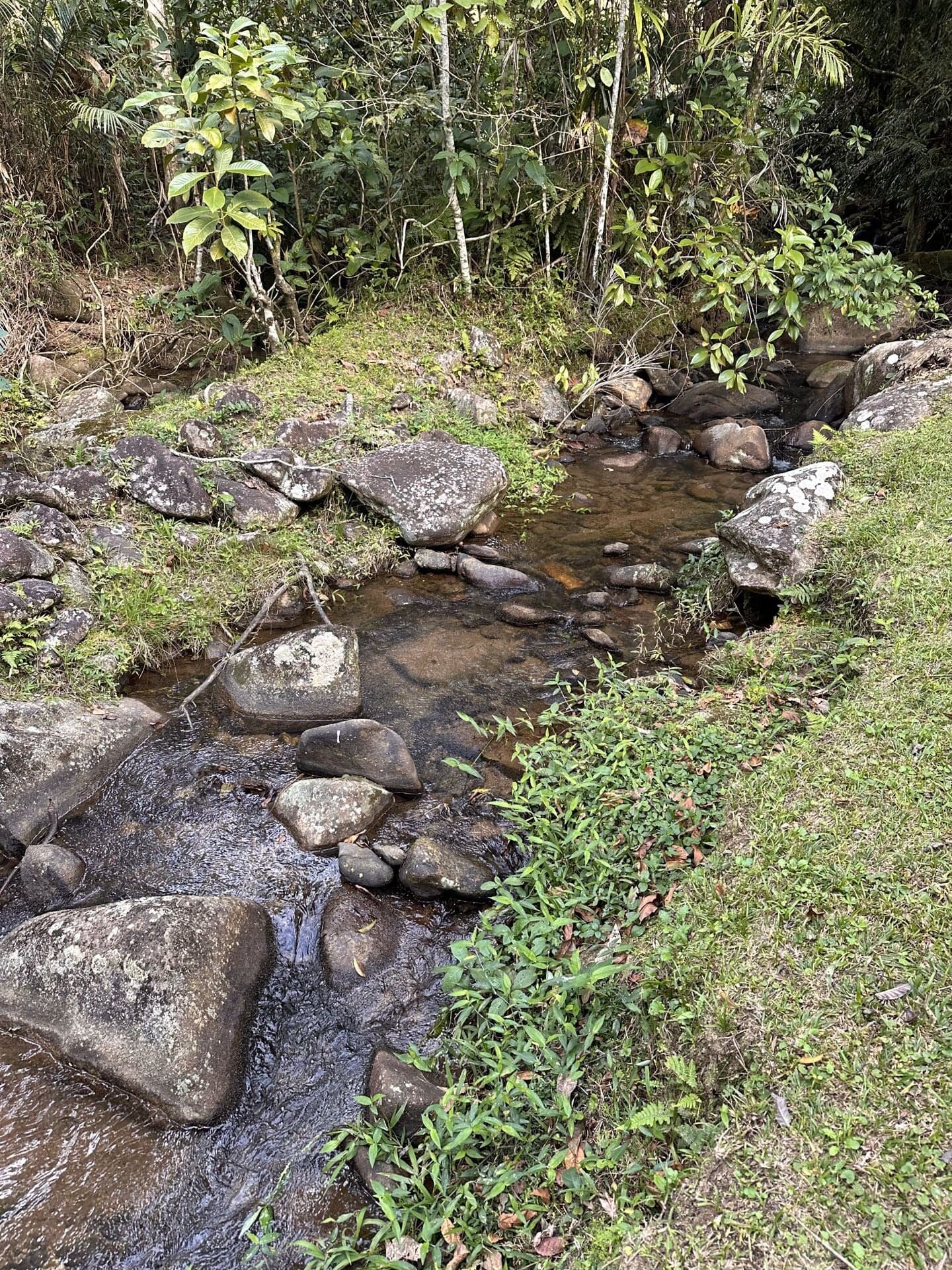 Sítio de 36,3 Hectares com Três Nascentes em Casimiro de Abreu