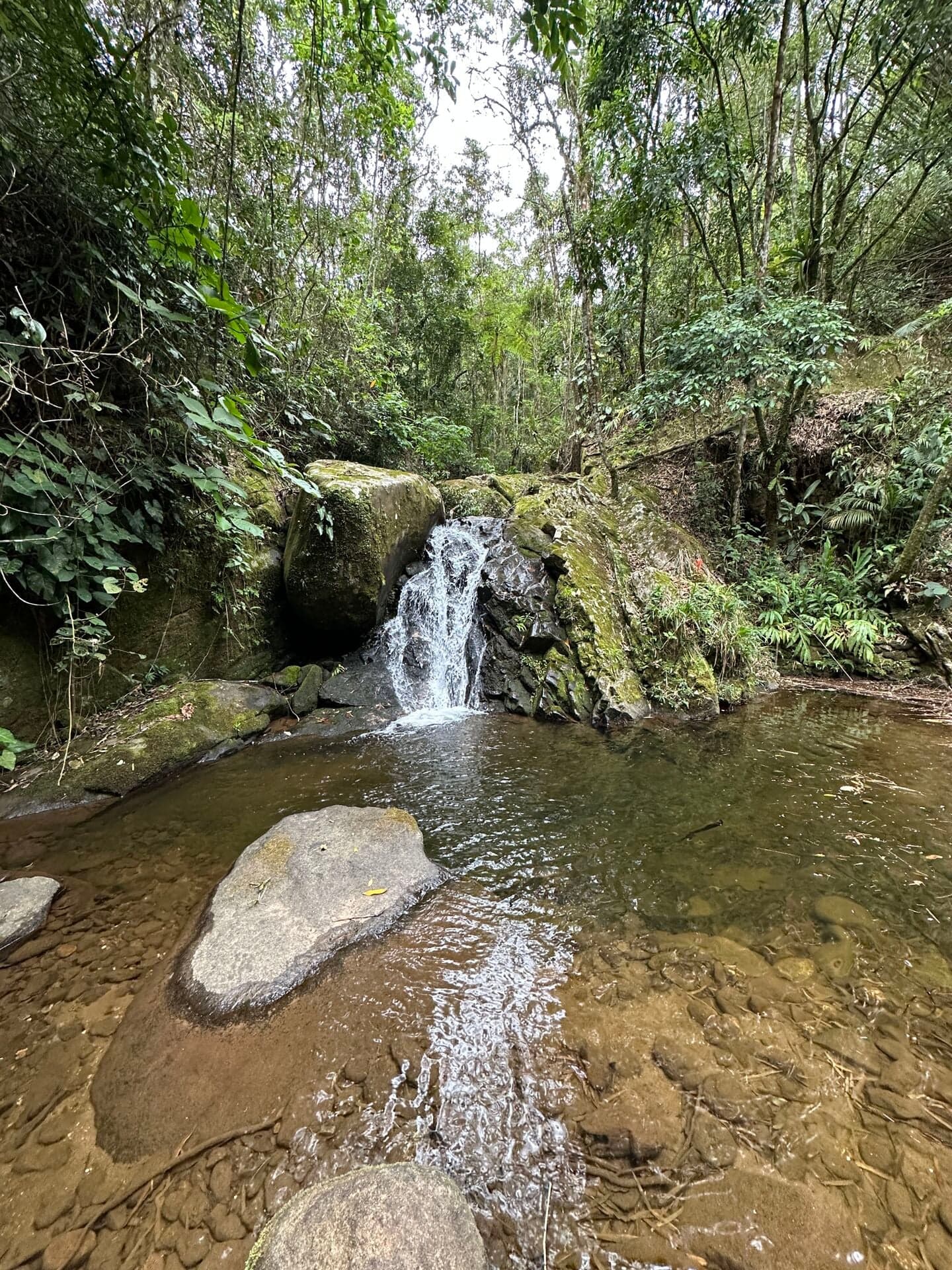 Área Urbana de 59.558 m² com Poços Naturais