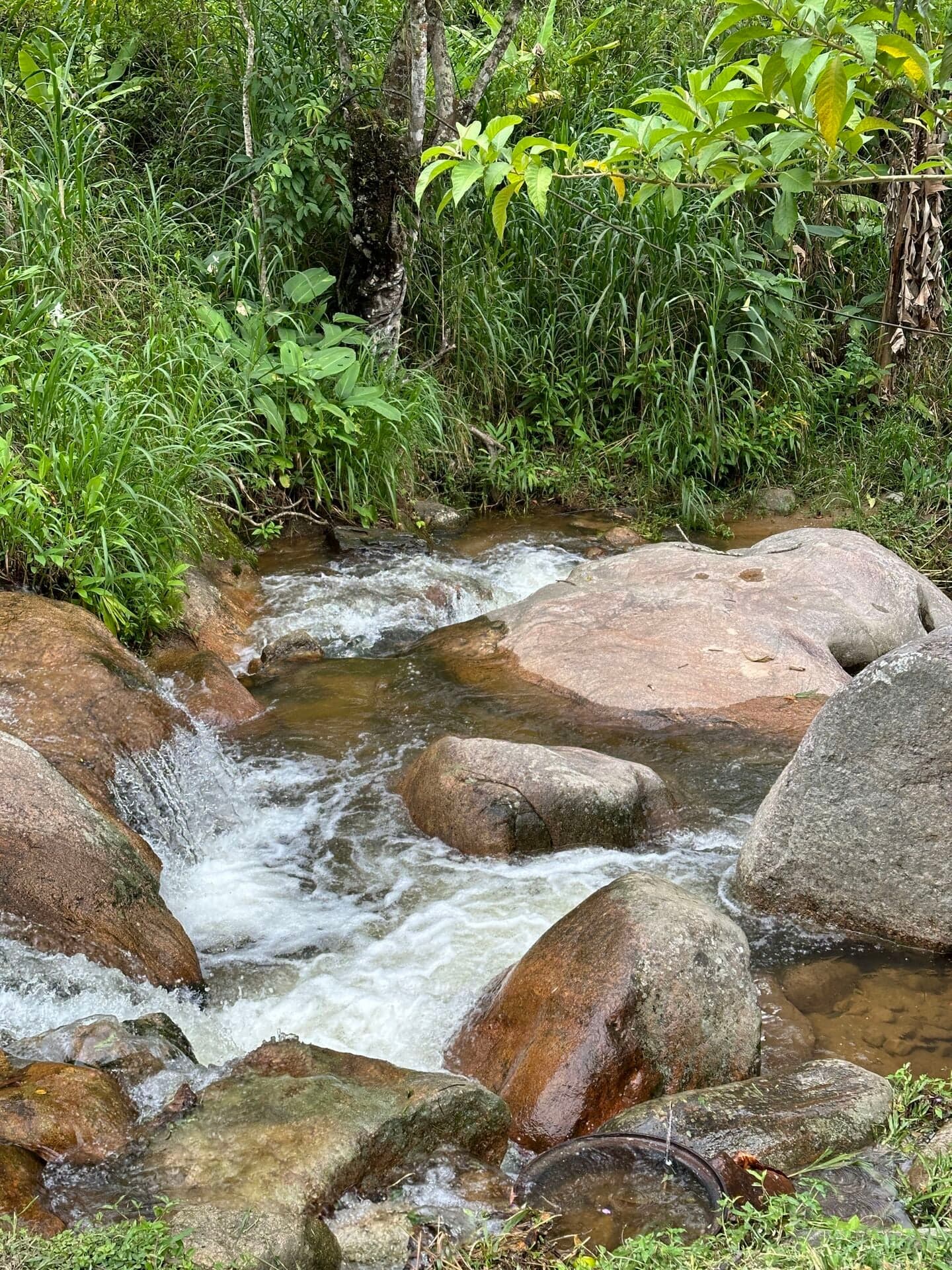 Lote/Terreno em Nova Friburgo - Lumiar