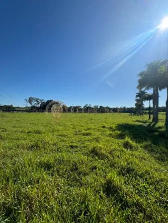 SÍTIO DE 36.000 M² COM LAGO, ÁREA DE PLANTIO E PASTO À VENDA – MEDEIROS - Jundiaí/SP