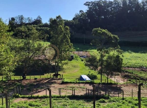Haras completo aos pés da Serra do Japi