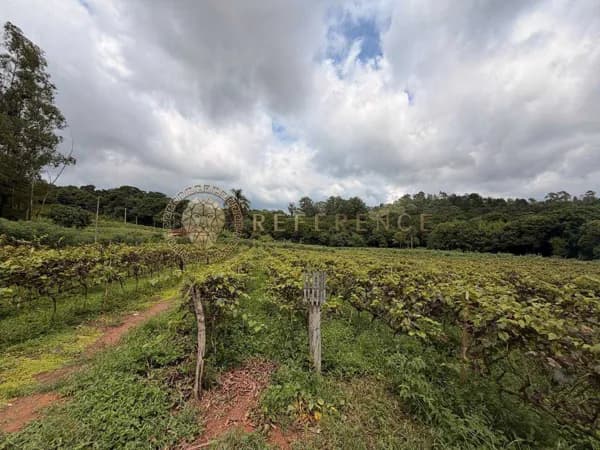 Área Rural / Campo Limpo Paulista
