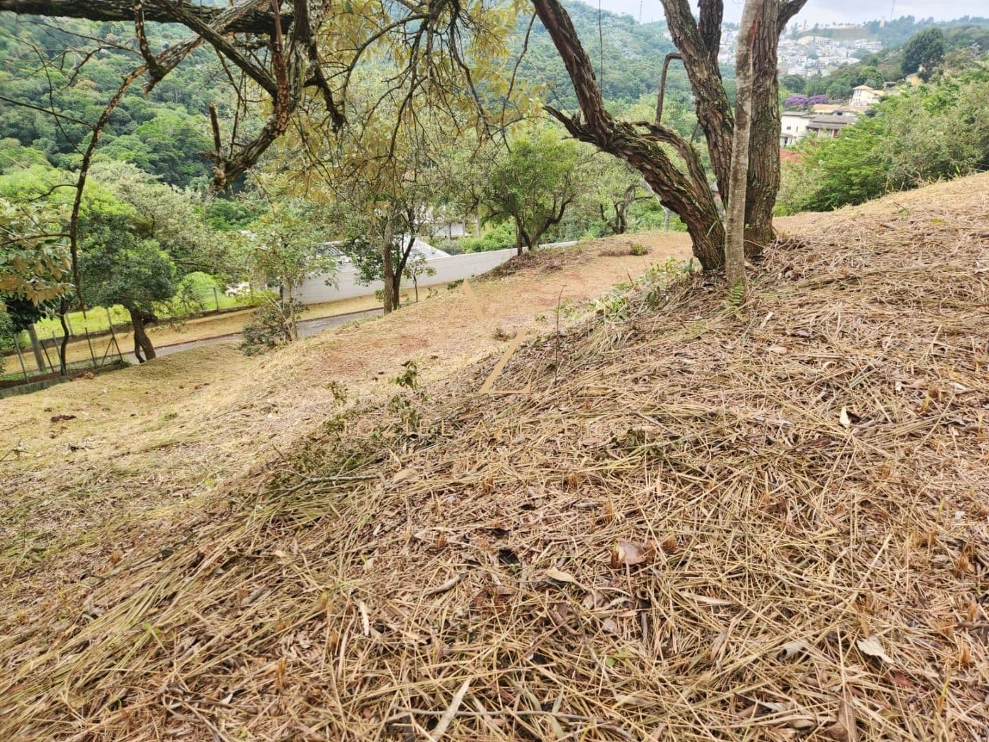 Terreno à venda, 2519 m² - Santana de Parnaíba - SP