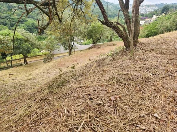 Terreno à venda, 2519 m² - Santana de Parnaíba - SP