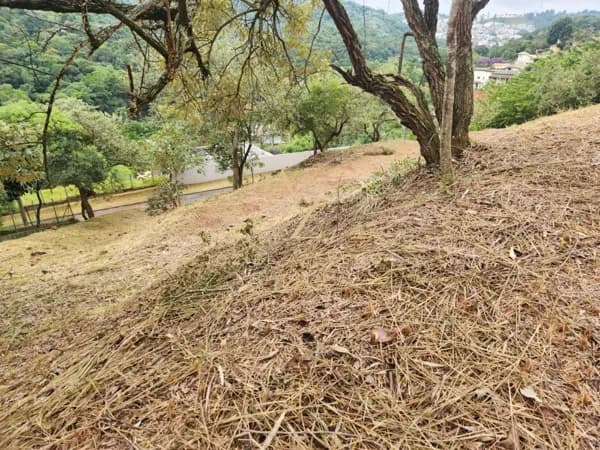 Terreno à venda, 2519 m² - Santana de Parnaíba - SP