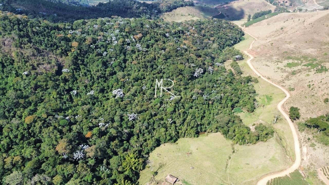 Fazenda/Sítios/Chácaras em Alto Caparaó - Zona Rural