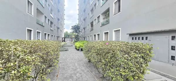 Prédio/Edifício Inteiro em Joinville - Santo Antônio
