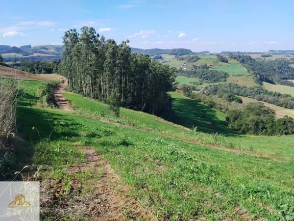 Fazenda/Sítios/Chácaras em Quilombo - Centro