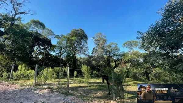 Fazenda/Sítios/Chácaras em Campo Largo - Itaqui de Cima