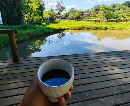Fazenda/Sítios/Chácaras em Laguna - Ribeirão Pequeno
