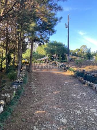 Fazenda/Sítios/Chácaras em Inácio Martins - Centro