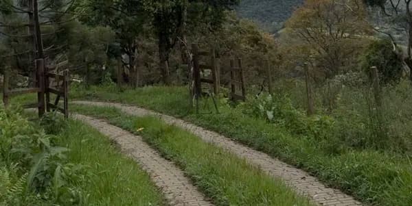 Terreno GOMERAL