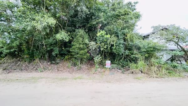 Lote/Terreno em São Francisco do Sul - Praia do Ervino
