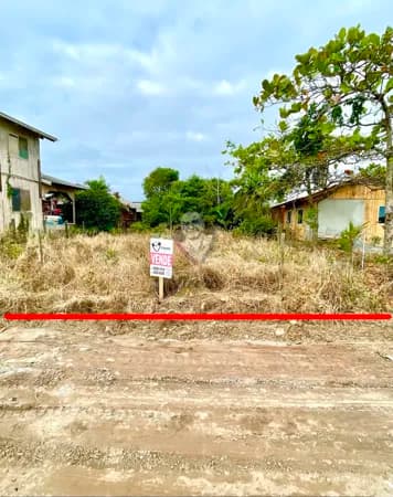 Lote/Terreno em São Francisco do Sul - Ervino