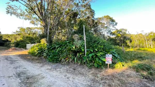 Lote/Terreno em São Francisco do Sul - Ervino