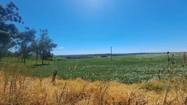 ÁREA RURAL COMUNIDADE DO LIMOEIRO _ SÃO LUIZ GONZAGA