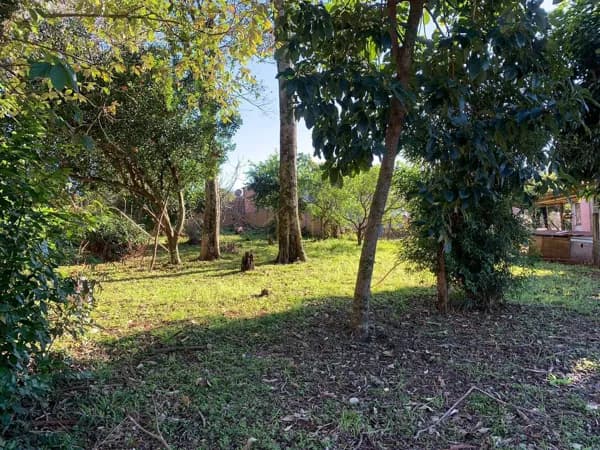 Terreno em Centro, Santo Antônio das Missões/RS