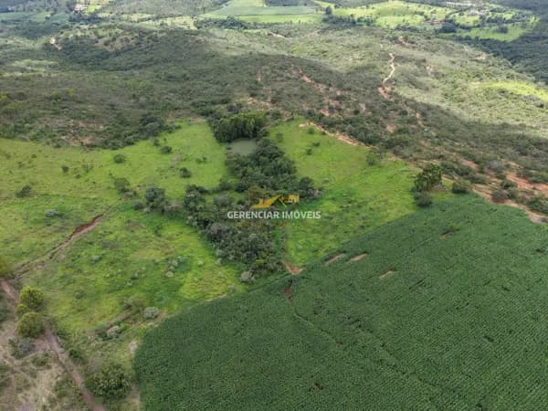 Fazenda 62 hectares em Onça do Pitangui MG