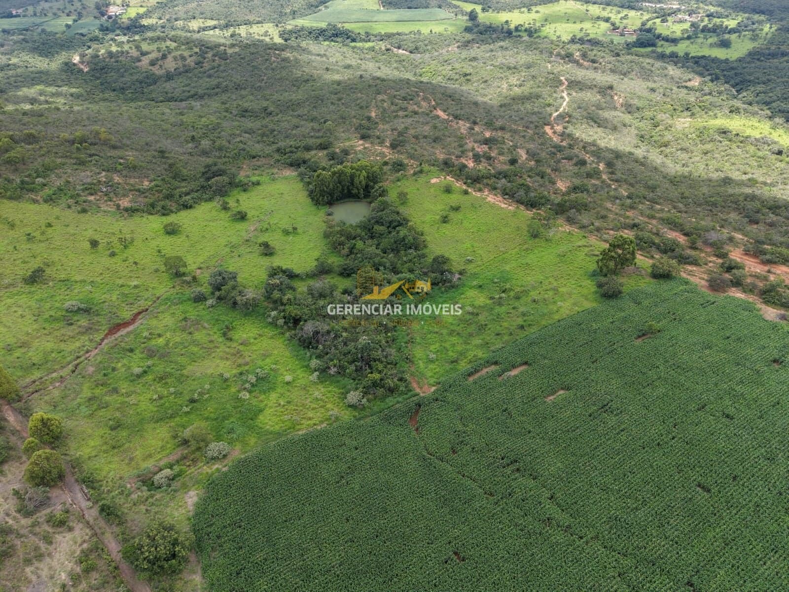 Fazenda 62 hectares em Onça do Pitangui MG