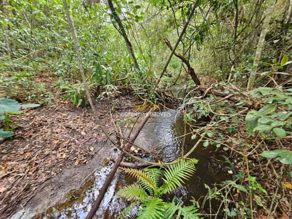 Terreno com Água corrente nos fundos em Mateus Leme MG