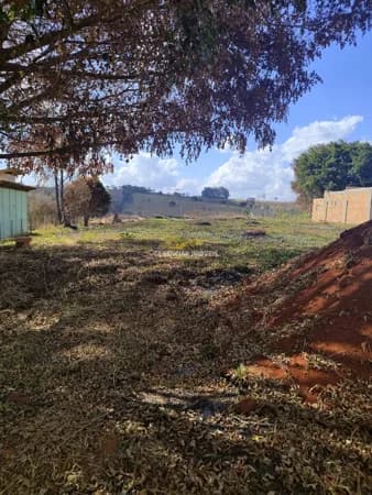 Chácara 1.000m² em Medeiros, Próxima à Cachoeira 7 Quedas | Acesso Asfaltado + Água e Luz
