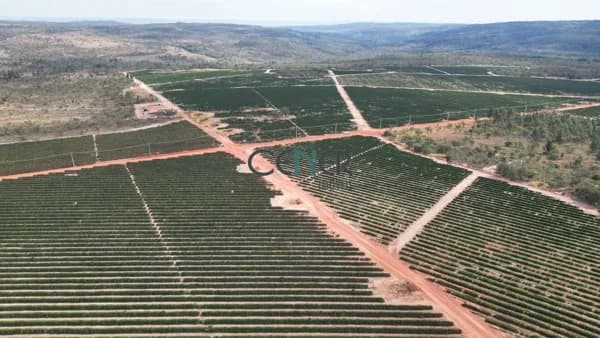 Fazenda na Serra do Cabral de 8 500 ha ótima para café