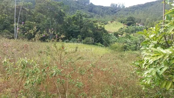 Fazenda/Sítios/Chácaras em Guabiruba - Planície Alta