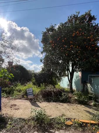 Lote/Terreno em Venâncio Aires - Cruzeiro