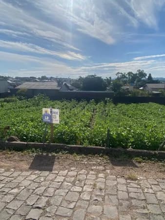 Lote/Terreno em Venâncio Aires - Aviação