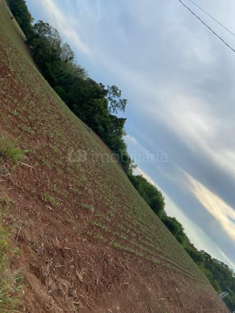 Lote/Terreno em Venâncio Aires - Linha Grão Pará