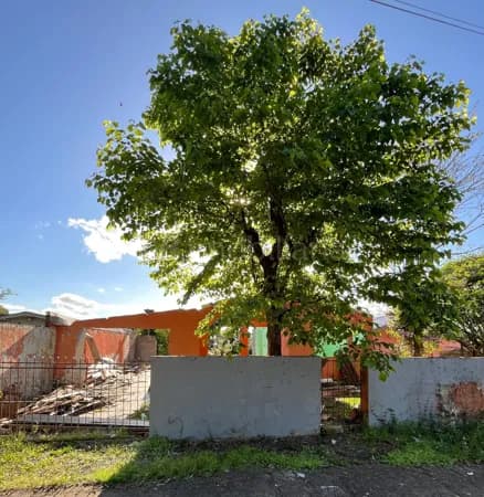 Lote/Terreno em Venâncio Aires - Brands