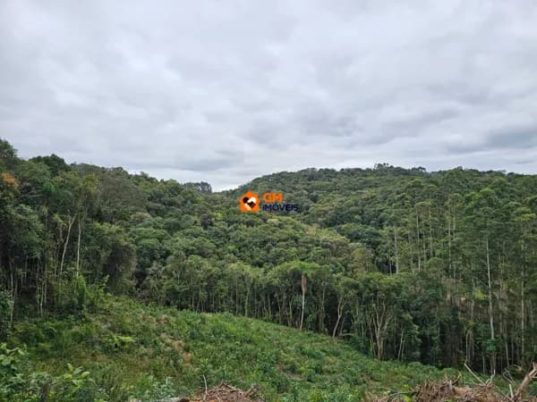 Excelente Terreno Rural em São Bento do Sul - SC