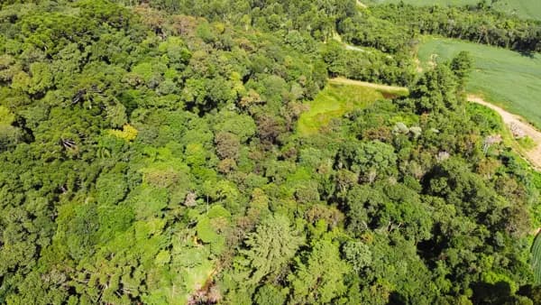 Terreno para Chácara com 20.000 m² em Campo Largo – Apenas 10 min do Centro e Linda Vista