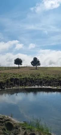 Chácara em São Luiz do Purunã - 20.037,00m2 - Gleba M