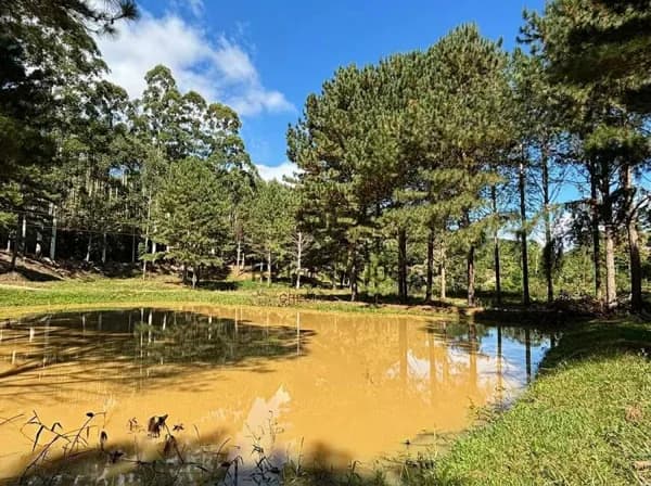 Lote/Terreno em José Boiteux - Centro