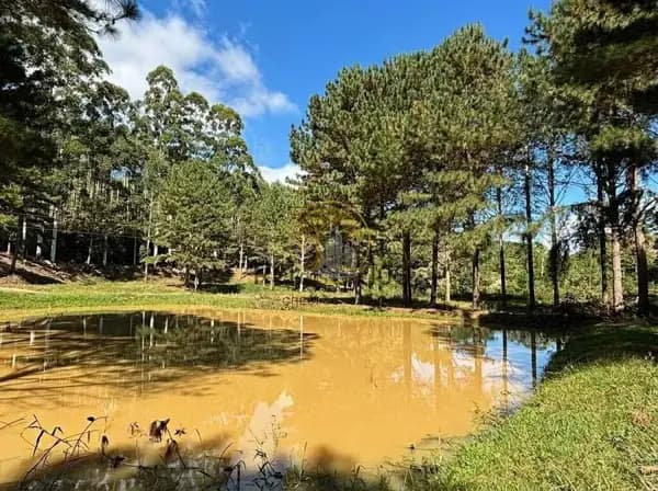 Lote/Terreno em José Boiteux - Centro