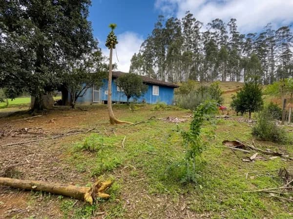 Fazenda/Sítios/Chácaras em Benedito Novo - Santa Maria