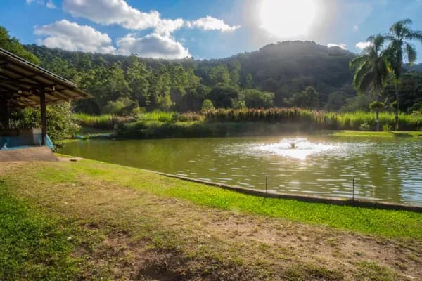 Fazenda/Sítios/Chácaras em Benedito Novo - Centro