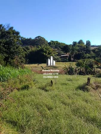 🌴🌳 VENDE-SE SÍTIO DE 3 HECTARES - 18 KM DE LAGOA FORMOSA 🌴🌳