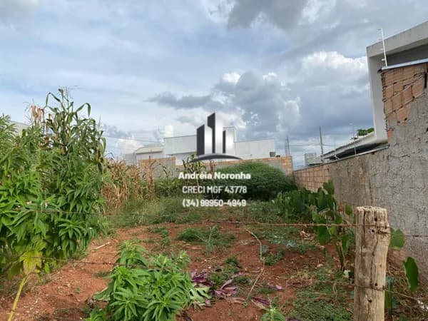 ✳️ LOTE SEMI-PLANO À VENDA NO PARQUE DO SABIÁ ✳️