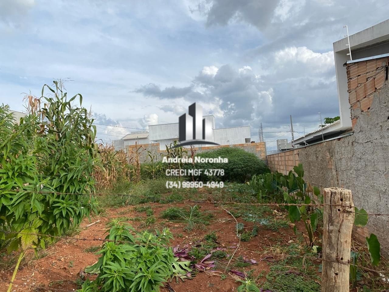 ✳️ LOTE SEMI-PLANO À VENDA NO PARQUE DO SABIÁ ✳️