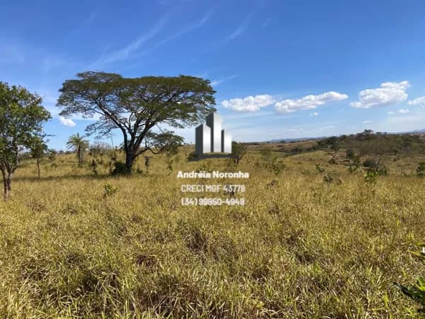 🌴🌳 FAZENDA À VENDA ENTRE MAJOR PORTO E QUINTINOS 🌴🌳