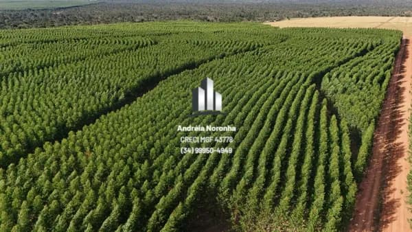 🌳🌴 FAZENDA DE 314 HECTARES À VENDA EM PIRAPORA 🌳🌴