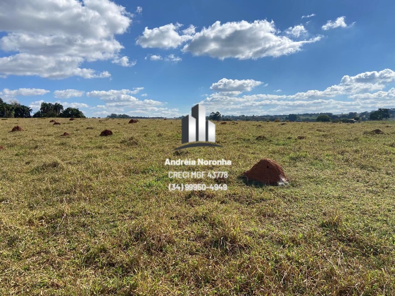 🌳🌴 FAZENDA DE 35 HECTARES NA REGIÃO DO CAFÉ PATENSE 🌳🌴