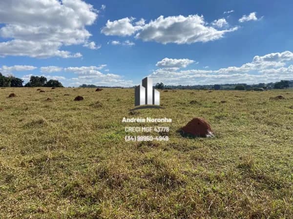 🌳🌴 FAZENDA DE 35 HECTARES NA REGIÃO DO CAFÉ PATENSE 🌳🌴