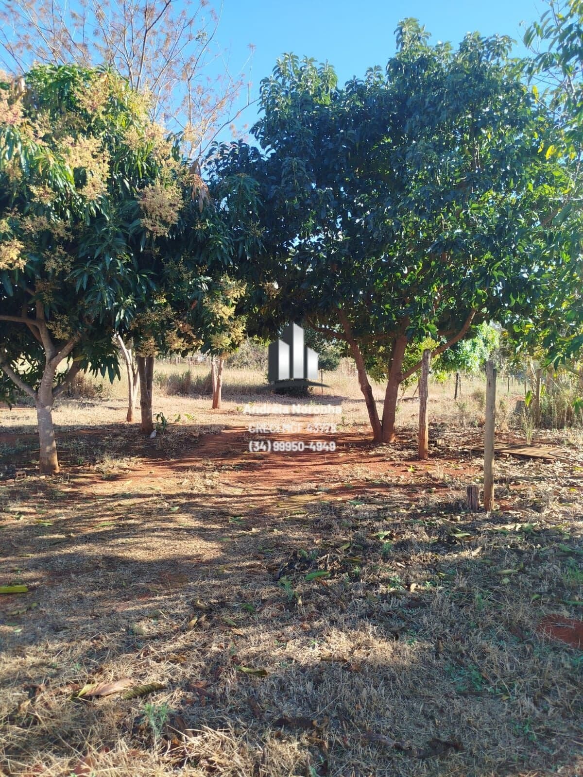 🌿 VENDE-SE – 2 HECTARES | LAGOA FORMOSA/MG 🌿
