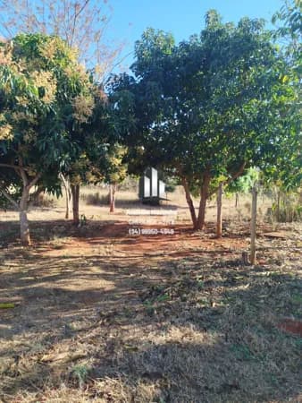 🌿 VENDE-SE – 2 HECTARES | LAGOA FORMOSA/MG 🌿